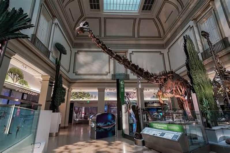 American History/Natural History Museum Combo Guided Tour - Why this Natural History + American History pairing works fast in DC