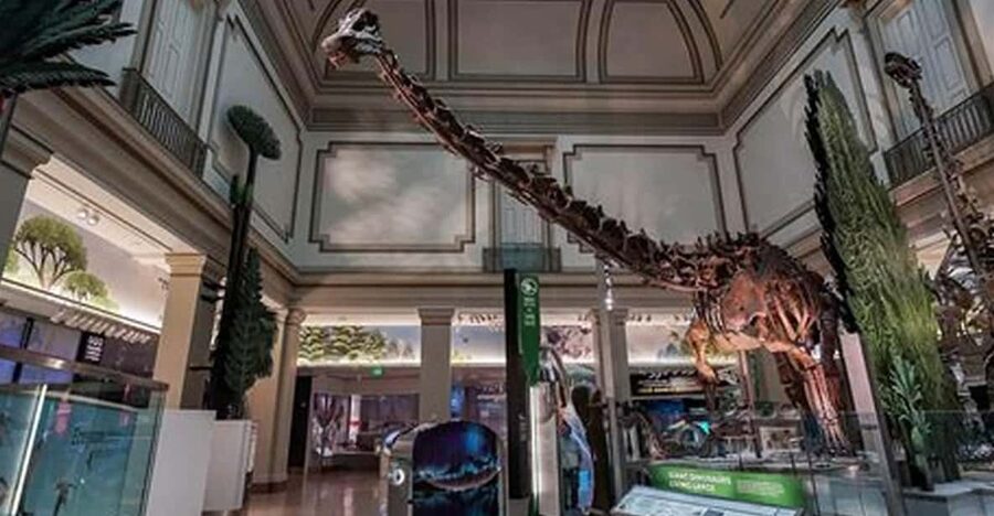 American History/Natural History Museum Combo Guided Tour - American History Museum in 90 minutes: anthem, first ladies, and invention