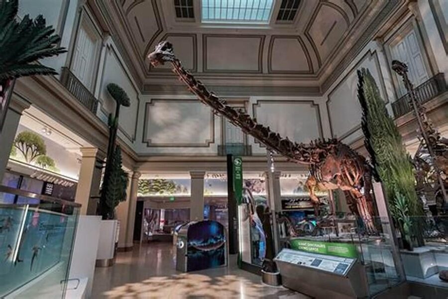 American History/Natural History Museum Combo Guided Tour - Final decision: should you book with Tours By JC?