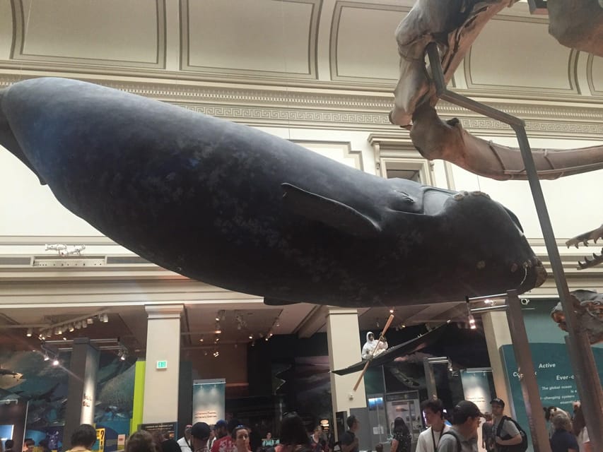 American History/Natural History Museum Combo Guided Tour - Your route: from 1300 Constitution Ave NW to the museum doors