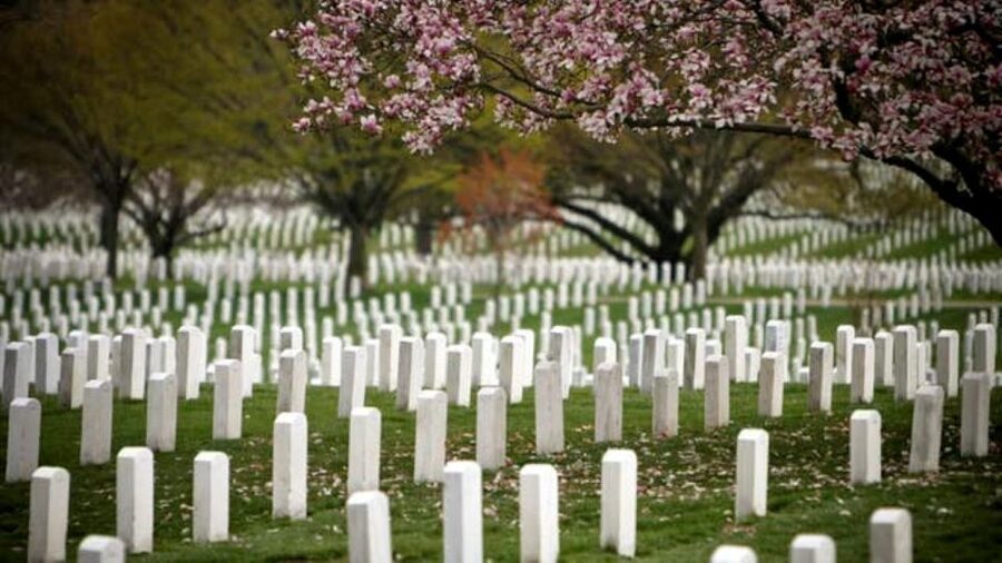 Arlington Cementary & Guard Ceremony with Iowa Jima Memorial - What the guide experience feels like