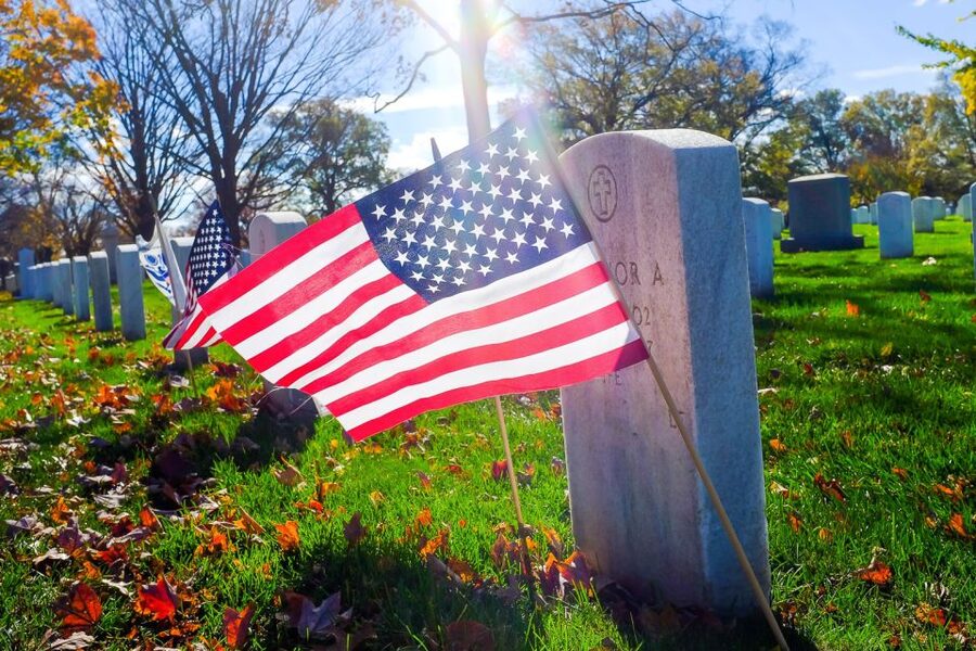 Arlington Cemetery & Changing of the Guard Semi-private 12pp - Walking pace, what to bring, and how to prepare