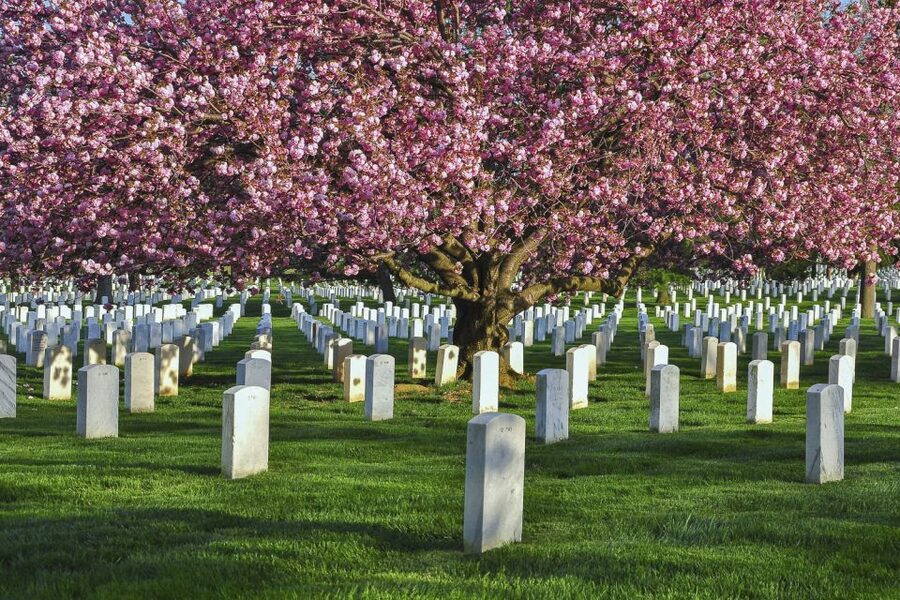 Arlington Cemetery Walk with National Mall Night Bus Tour - How I’d judge the $65 price for value