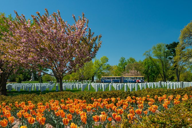 Arlington National Cemetery Hop-On Hop-Off Tour - Who this trolley tour is best for