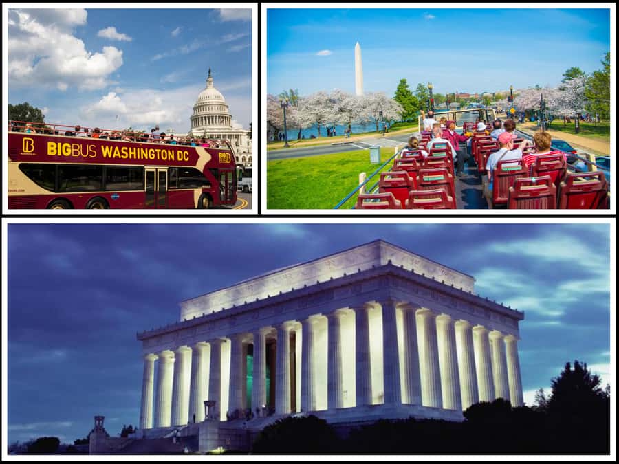 Best of DC: Hop-on Hop-off Bus Tour & Night Tour (Save 40%) - Key Things I’d Bet On