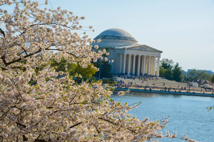 Best of DC: Hop-on Hop-off Bus Tour & Night Tour (Save 40%) - Arlington National Cemetery, with a Digital Walking Guide (and ID Rules)