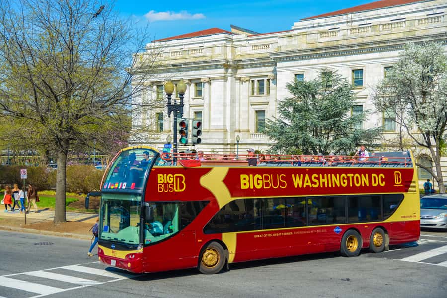 Best of DC: Hop-on Hop-off Bus Tour & Night Tour (Save 40%) - Museums and Extra Stops: What You Can Pair with the Bus Route