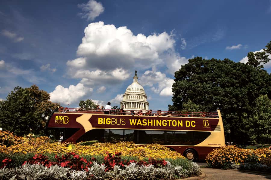 Best of DC: Hop-on Hop-off Bus Tour & Night Tour (Save 40%) - Union Station as Your Launchpad, and Why It Matters