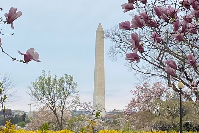 Beyond the Closet Walking Tour - Price and Value: What $30 Buys You