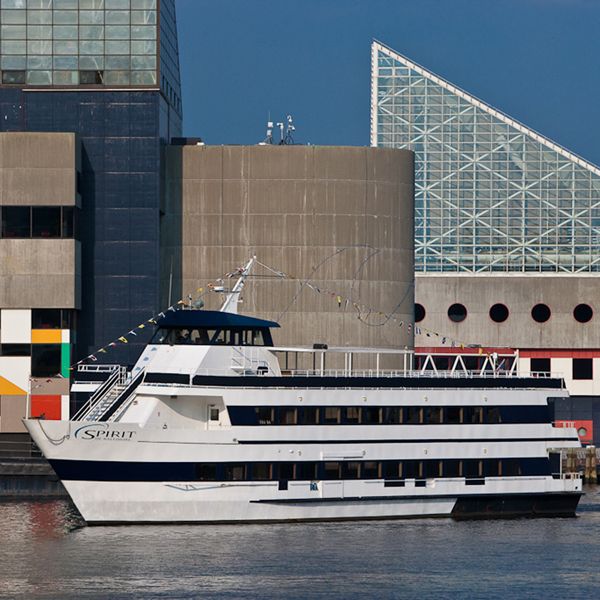 City Cruises Baltimore: Brunch, Lunch, or Dinner Cruise - Service Quality: The Staff Make This Feel Easy