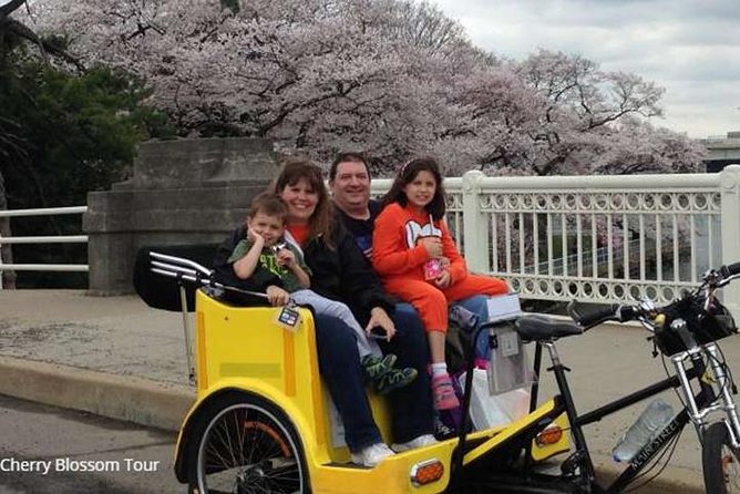 Classic Monuments & Memorials Tour - A smart way to see the big DC icons in about 3 hours