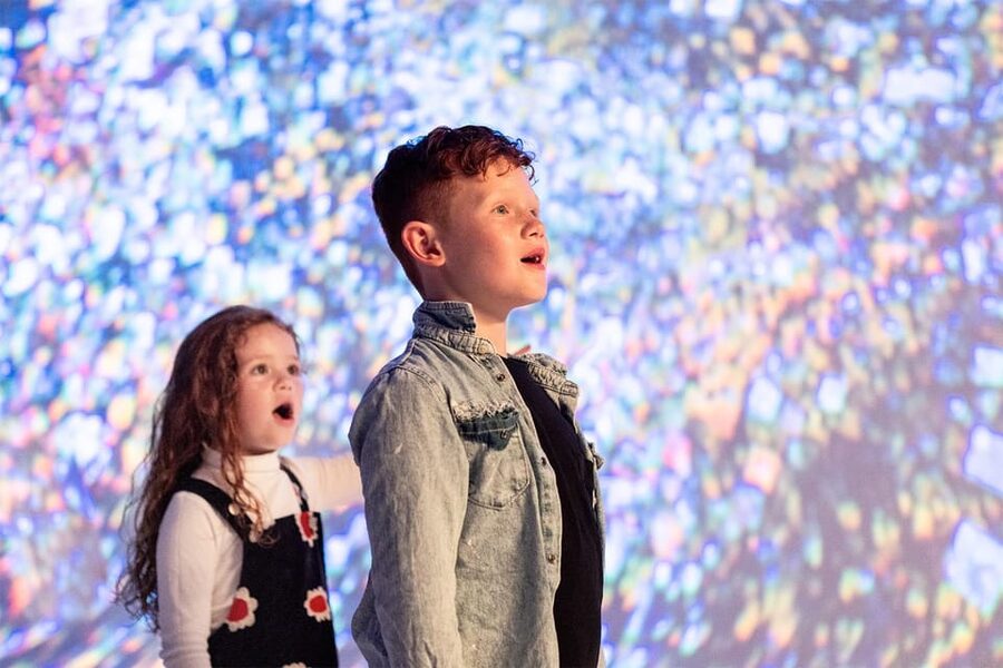 DC: All Creation Sings- Museum of the Bible Exhibition Entry - Price and Value: Is $49 Worth It?