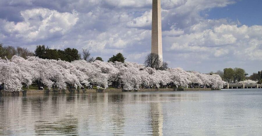 DC Bus Tour with Optional Washington Monument or Air & Space - Museums hours and timing: how not to end up rushing