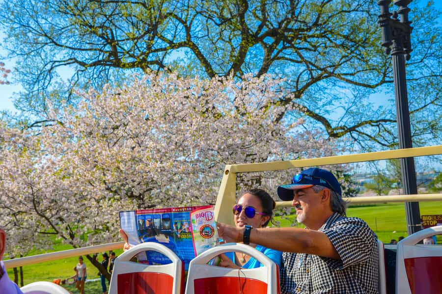 DC: Hop-on Hop-off Tour by Open-top Bus with 17 Stops - Capitol Hill, Grant Memorial, and the rest of the arc