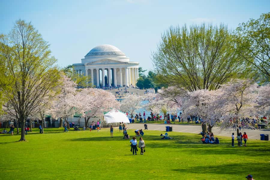 DC: Hop-on Hop-off Tour by Open-top Bus with 17 Stops - Price and what $49 buys you in the real world