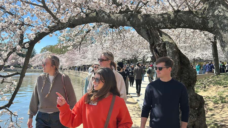 DC: National Mall 2.5 Hr Tour & Washington Monument Tickets - Lincoln Memorial and the MLK moment you can stand in