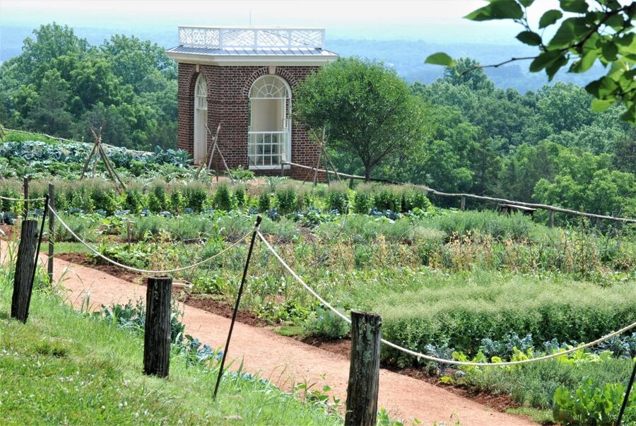 DC: Private Day Trip to Thomas Jefferson’s Monticello Estate - The drive to Charlottesville in a luxury vehicle (and why it matters)