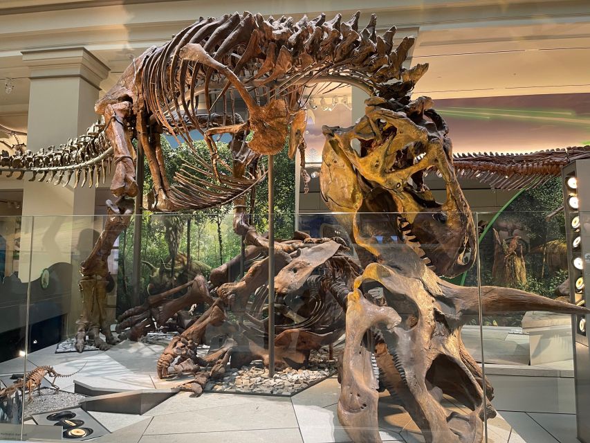 DC: Smithsonian Highlights Walking Tour with Air and Space - Price and what you are actually paying for