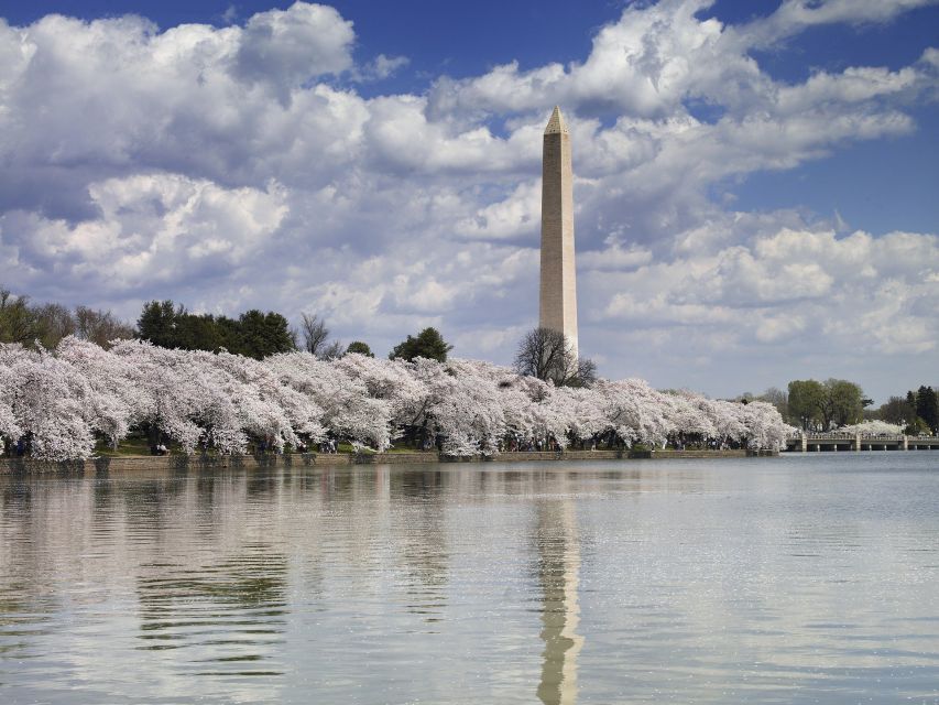 DC: Tour with U.S. Capitol Ground Access - Potomac River boat ride: the best photo angles, seasonal timing, and audio reality
