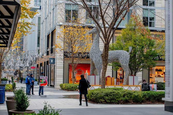 Downtown DC Holiday Tour: Lights, Decorations & Festive Cheer - Tips to make the hour feel easy, not rushed