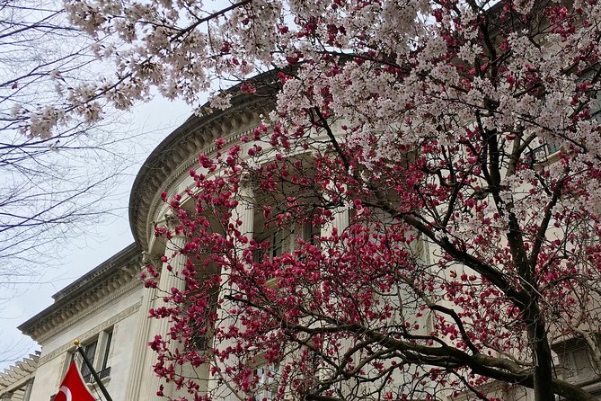 Dupont Circle and Embassy Row Architectural Walking Tour - Kalorama: Quiet Streets, Big Names, and the Meaning Behind It