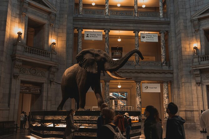 Essential Smithsonian Tour with NMAAHC Timed Entry - Natural History Museum: Henry the Elephant, the fossil hall, and the Hope Diamond