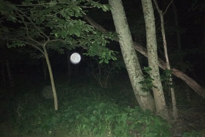 Fright Night Investigation - Small Group Gettysburg - Getting there: meeting point and the caravan reality