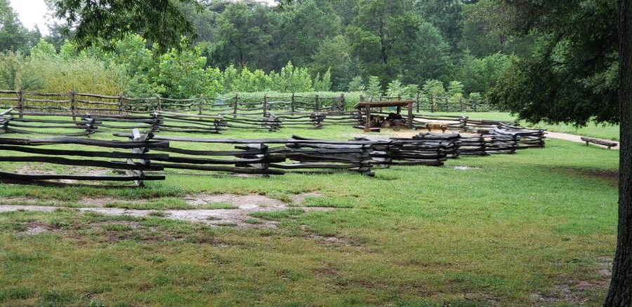 From Washington DC: Old Town Alexandria & Mount Vernon Tour - Lunch at Mt Vernon Food Court: timing matters more than you think