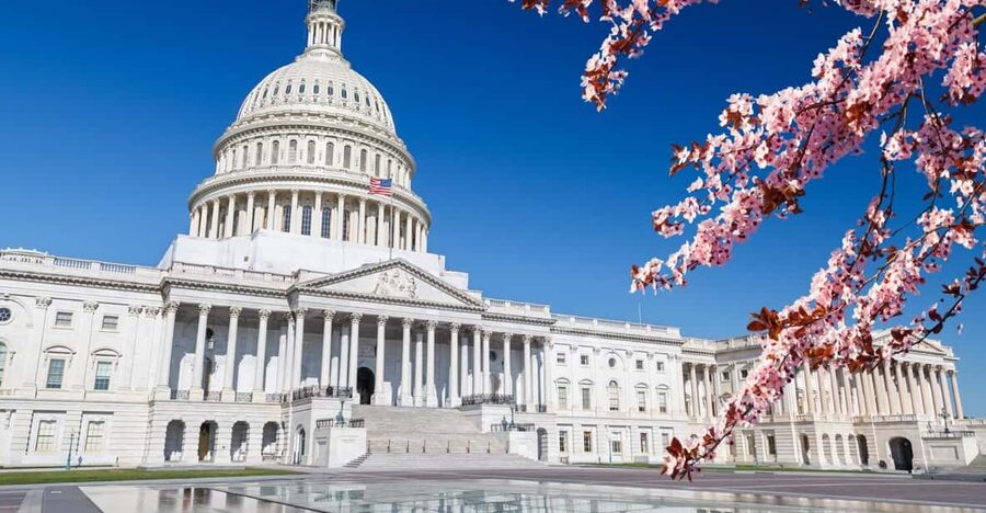 Full Day Washington DC & Mount Vernon Tour - Starting at 400 New Jersey Ave NW, then letting the bus do the work