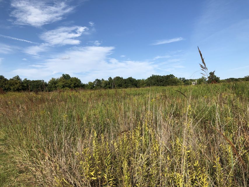 Gettysburg: Beer, Wine, and History Guided Walking Tour - What You’ll Drink: Cider, Bees, Wine, and Beer Patio Moments
