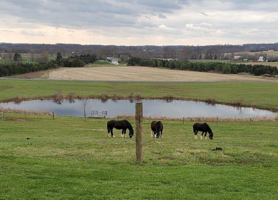 Gettysburg: Horse-Drawn Carriage Tour Countryside & Orchards - Key things I’d bet on before you go