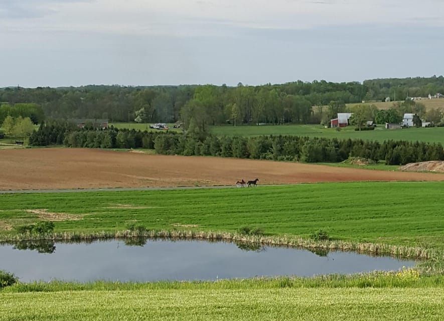 Gettysburg: Horse-Drawn Carriage Tour Countryside & Orchards - Should you book the Gettysburg countryside carriage ride from Silvershire Farm?