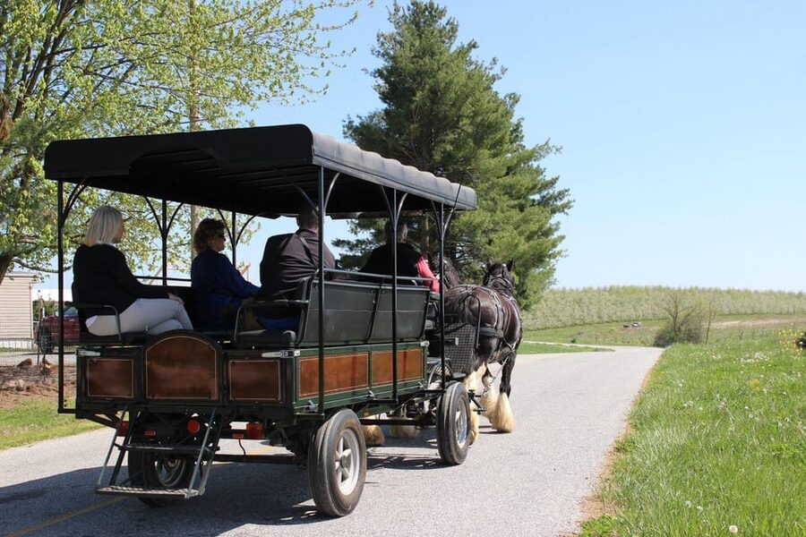 Gettysburg: Horse-Drawn Carriage Tour Countryside & Orchards - What makes the carriage ride feel relaxing instead of touristy