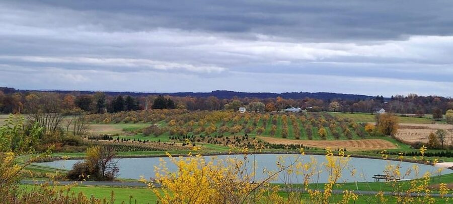 Gettysburg: Horse-Drawn Carriage Tour Countryside & Orchards - Two working farms, one hour: what you actually get for $44