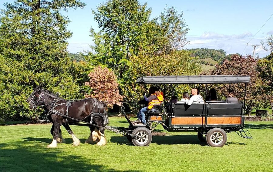 Gettysburg: Horse-Drawn Carriage Tour Countryside & Orchards - Timing, what to wear, and simple planning tips