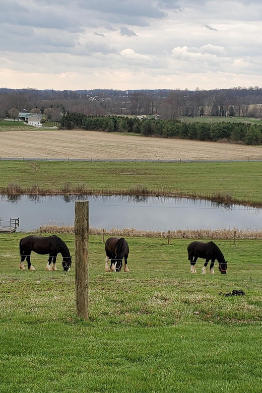 Gettysburg: Horse-Drawn Carriage Tour Countryside & Orchards - Who this tour is best for, and who should skip it