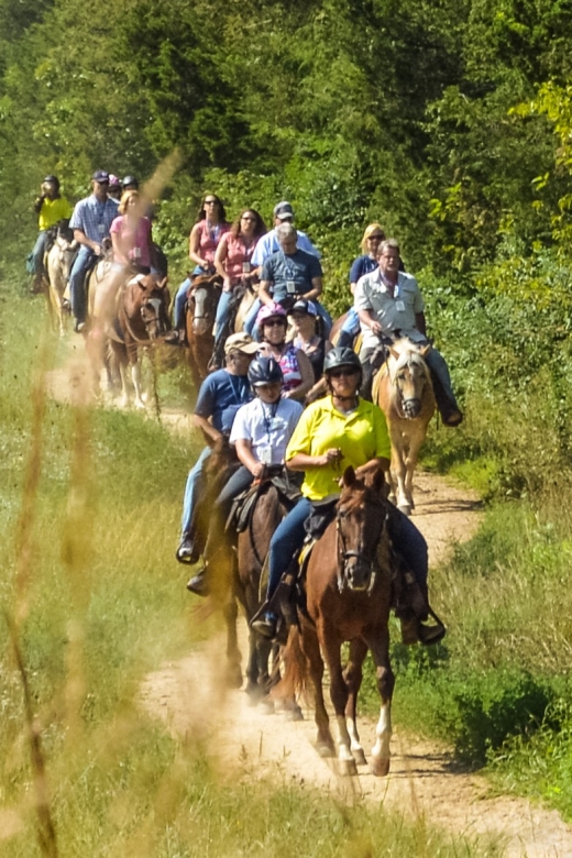 Gettysburg: Licensed Guided Battlefield Horseback Tour - Key Things You’ll Notice Right Away