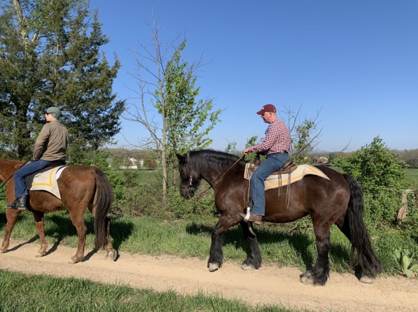 Gettysburg: Licensed Guided Battlefield Horseback Tour - Gettysburg Battlefield on Horseback: Why This Format Works