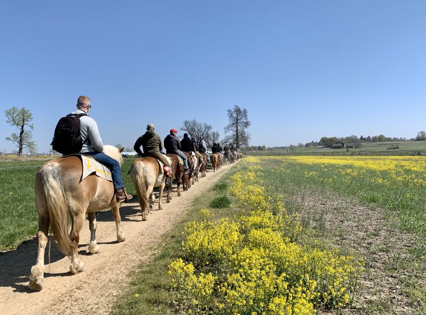 Gettysburg: Licensed Guided Battlefield Horseback Tour - Trostle Farm and the Cannonball Hole in the Barn