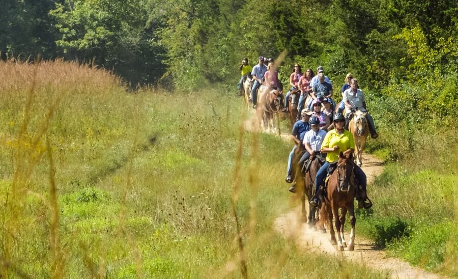 Gettysburg: Licensed Guided Battlefield Horseback Tour - Meeting at McMillan Woods Campground and Getting Set Up