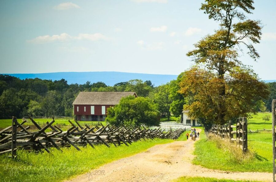 Gettysburg: Private Tour with Licensed Battlefield Guide - Your vehicle, not a crowded bus