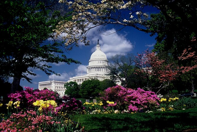 Guided Capitol Hill with US Capitol and Library of Congress Entry - Guides make the difference, and you can see it in the results
