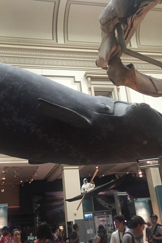 Guided Tour of The Natural History Museum - First Steps at 900 Constitution Ave NW, Where the Tour Starts