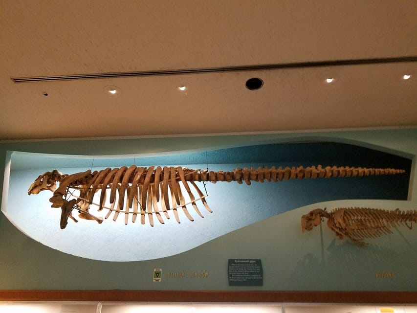Guided Tour of The Natural History Museum - Touch a Piece of Mars, and Make Space Feel Physical