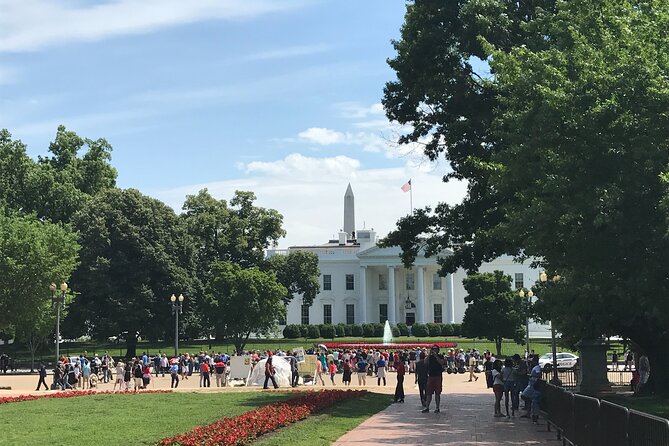 Half-Day Private Guided Bike Tour in Washington - Library of Congress Architecture, Plus Your Choice to Go Inside