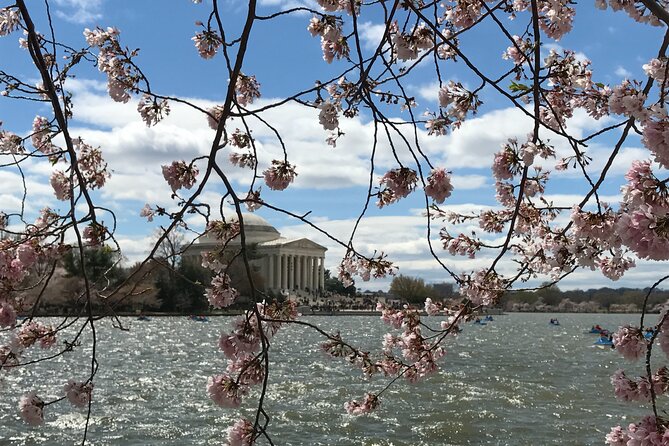 Half-Day Private Guided Bike Tour in Washington - U.S. Botanic Garden and Bartholdi Fountain for a Midday Break