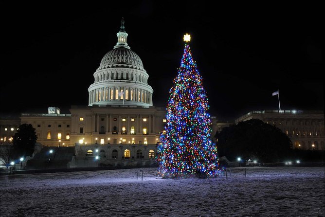 Holiday Lights Tour of Washington DC and Old Town Alexandria - CityCenterDC Christmas Tree, A Quick Break That Feels Like a Detour