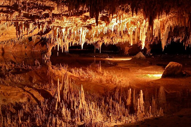 Luray Caverns and Shenandoah Small Group Max 12 Day Tour from D.C - Key highlights at a glance