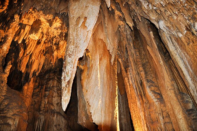 Luray Caverns and Shenandoah Small Group Max 12 Day Tour from D.C - Price and value: $88 plus the Luray option and what you should budget
