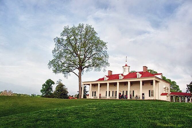 Mount Vernon Guided Estate Tour plus Old Town Alexandria from DC - Stop 1: George Washington’s Mount Vernon, timed entry with real renovation limits